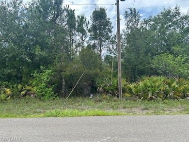 Lehigh Acres Area Lot For Sale in Lehigh Acres Florida