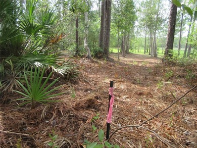 THE RAREST OF ALL PROPERTIES! This owner financed property is - photo 30