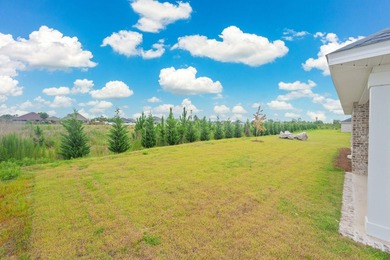 New construction 3BR/2BA home in Game Farm subdivision featuring - photo 36