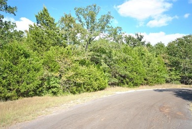 Lake Lot For Sale in Jewett, Texas