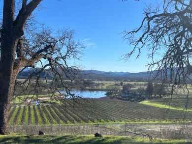 (private lake, pond, creek) Home For Sale in Pope Valley California