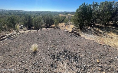 Lake Lot For Sale in Show Low, Arizona