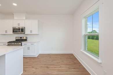 Welcome home to this beautiful new construction 4-bedroom - photo 17