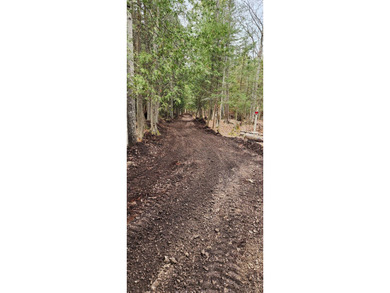 Secluded 1.1 acres and 256' of waterfront on Lake Huron await! - photo 18