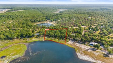 Grassy Lake - Washington County Acreage Sale Pending in Chipley Florida
