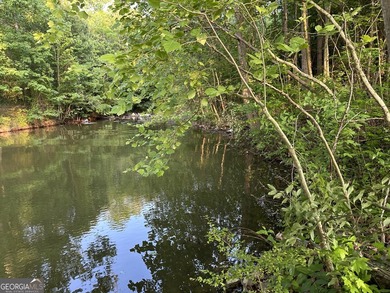 Build your dream getaway in Cherokee Falls near Weiss Lake! This - photo 1