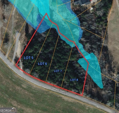 Build your dream getaway in Cherokee Falls near Weiss Lake! This - photo 2