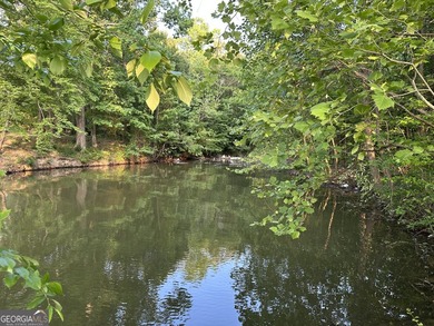 Build your dream getaway in Cherokee Falls near Weiss Lake! This - photo 3