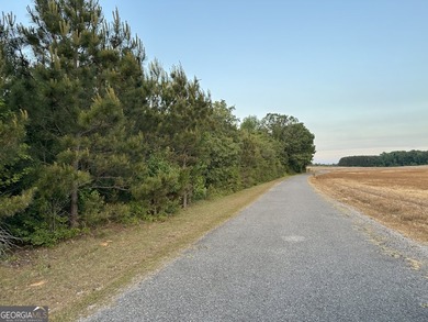 Build your dream getaway in Cherokee Falls near Weiss Lake! This - photo 8