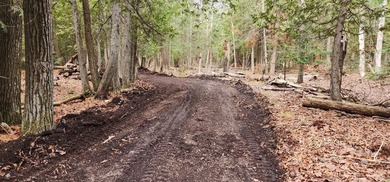 Secluded 1.1 acres and 256' of waterfront on Lake Huron await! - photo 29