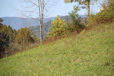 Lake Lot Off Market in Butler, Tennessee