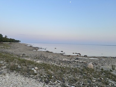Secluded 1.3 acres and 168.40' of waterfront on Lake Huron - photo 13