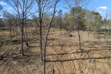 Discover your slice of Texas paradise near the spectacular Lake - photo 14