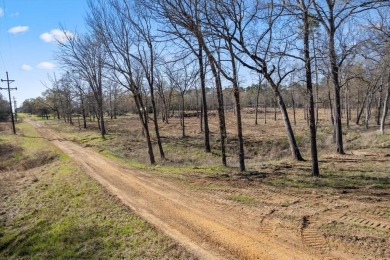Discover your slice of Texas paradise near the spectacular Lake - photo 15