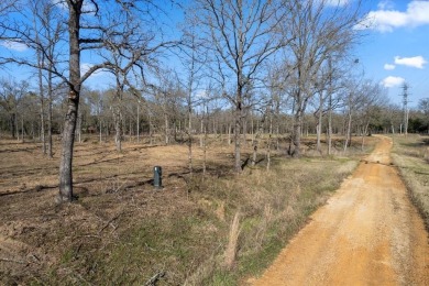 Discover your slice of Texas paradise near the spectacular Lake - photo 17