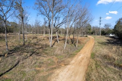 Discover your slice of Texas paradise near the spectacular Lake - photo 20