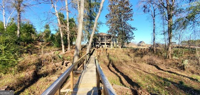 Ogeechee River - Burke County Home For Sale in Midville Georgia