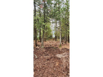 Secluded 1.3 acres and 168.40' of waterfront on Lake Huron - photo 25