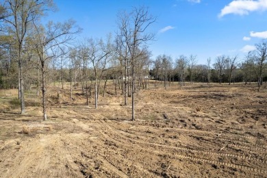 Discover your slice of Texas paradise near the spectacular Lake - photo 27