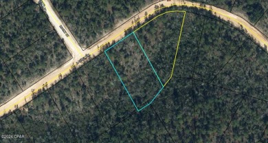 Blue Lake - Lake County Lot For Sale in Alford Florida