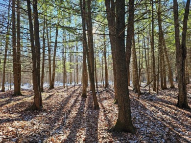 Lake Acreage For Sale in Phillips, Wisconsin
