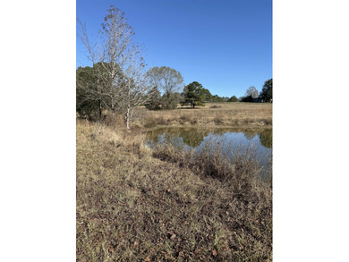 (private lake, pond, creek) Acreage For Sale in Hughes Springs Texas
