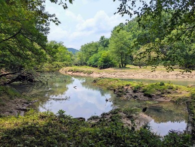 Charming and spacious home on the Little Red River. This home - photo 11