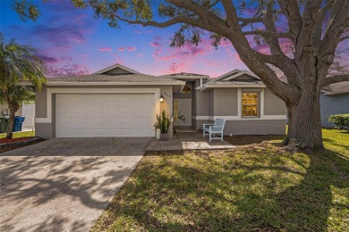 Lake Home For Sale in Clearwater, Florida