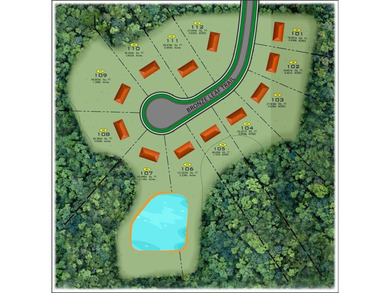 Quality NEW construction home for sale in the Town of Greece, NY - photo 4