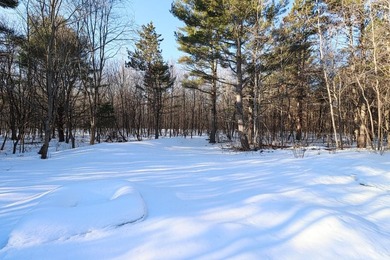 Discover easy peaceful Northwoods living in this well-kept - photo 15