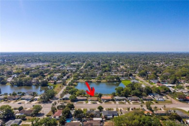 Lake Home For Sale in St. Petersburg, Florida