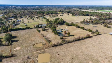 (private lake, pond, coastal) Acreage For Sale in Mount Pleasant Texas