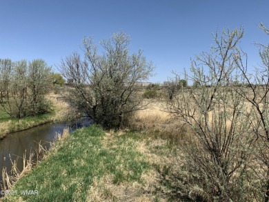 Lake Lot Sale Pending in Eagar, Arizona