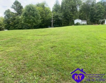 2 lots in a great AND non-restrictive subdivision which allows - Lake Lot For Sale in Hardinsburg, Kentucky