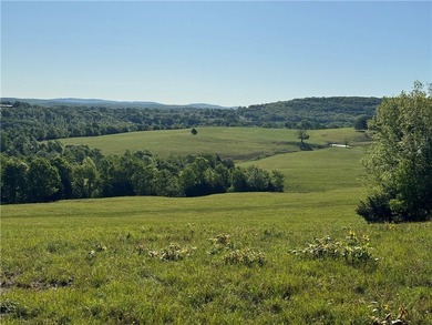 340+/- beautifully manicured acres in the Venus Mountain area - photo 11