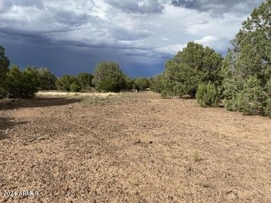White Mountain Lake Lot For Sale in Show Low Arizona