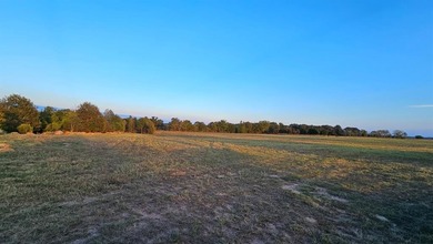 (private lake, pond, coastal) Acreage For Sale in Overton Texas