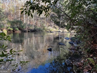 Lake Acreage For Sale in Ellijay, Georgia