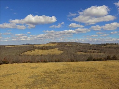 340+/- beautifully manicured acres in the Venus Mountain area - photo 32