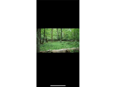 (private lake, pond, creek) Acreage For Sale in Lilburn Georgia