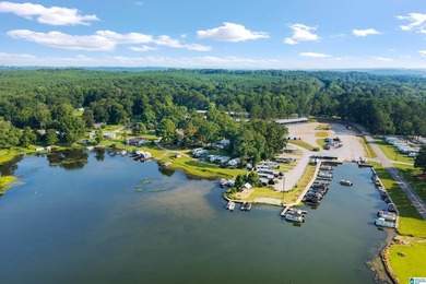 Lay Lake- this one is now up for grabs! Located within walking - photo 3