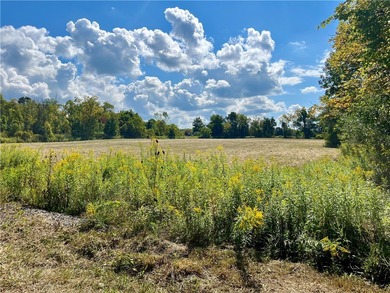 Seneca Lake Acreage For Sale in Lodi New York