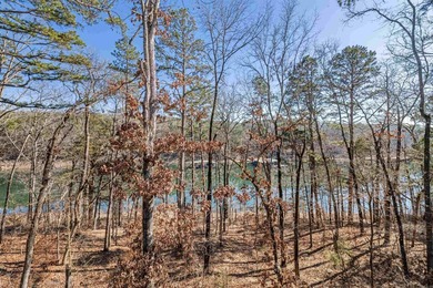 BOAT SLIP on GREERS FERRY LAKE!!! Enjoy the perfect blend of - photo 42