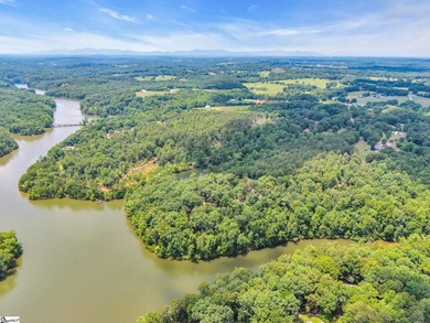 51 Acres with 2700+/- feet of Lake Frontage on Lake Blalock!! - photo 11