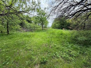 If you're looking for a turnkey hunting property, this 40-acre - photo 11