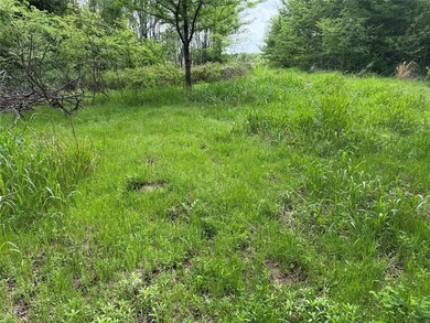 If you're looking for a turnkey hunting property, this 40-acre - photo 12