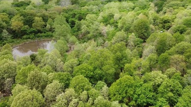 If you're looking for a turnkey hunting property, this 40-acre - photo 14