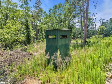 51 Acres with 2700+/- feet of Lake Frontage on Lake Blalock!! - photo 15
