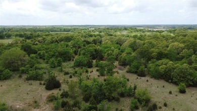 If you're looking for a turnkey hunting property, this 40-acre - photo 15