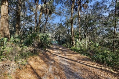 Prime development opportunity 3.68 ACRES | TWO PARCELS. HIGH - photo 16